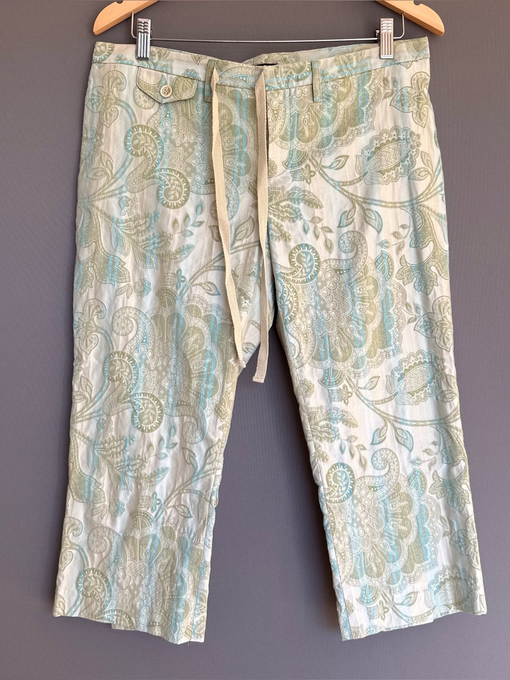 vtg Y2K David Meister Paisley Capri Cropped Pants Women Green Blue Size 10 Boho